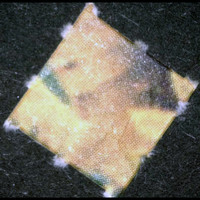 LSD molecular scheme