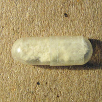 Molly molecular scheme