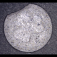 Kleeblatt molecular scheme