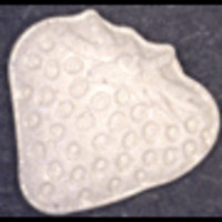 Erdbeere molecular scheme