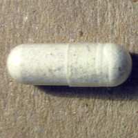 Molly molecular scheme