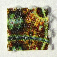 LSD molecular scheme