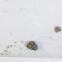 MDMA molecular scheme