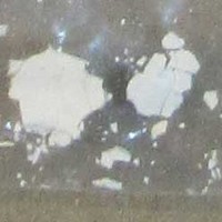 Cocaine molecular scheme