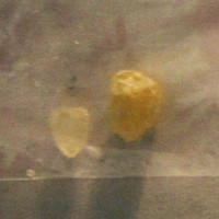 Molly Rocks molecular scheme