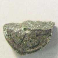 Tomorrowland molecular scheme