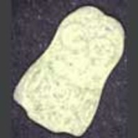 Minion 2 molecular scheme