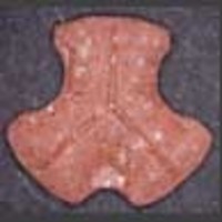 Defqon molecular scheme