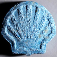 Shell molecular scheme