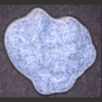 Super Mario molecular scheme