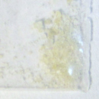 MDMA molecular scheme