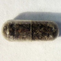 Molly molecular scheme