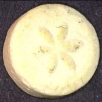 Blume/Schildkröte molecular scheme