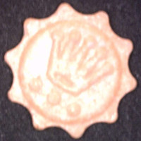 Rolex molecular scheme