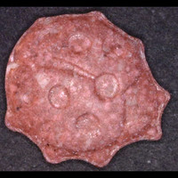 Marienkäfer molecular scheme