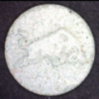 Stier molecular scheme