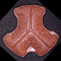 Defqon molecular scheme