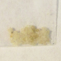 MDA molecular scheme