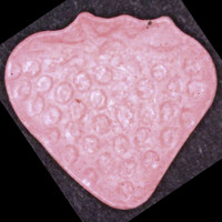 Erdbeere molecular scheme