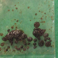 Gunpowder H molecular scheme