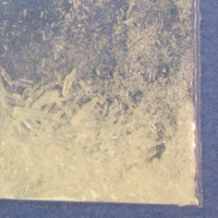 Hexen molecular scheme