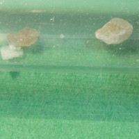 Molly molecular scheme