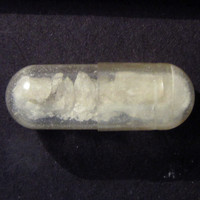 Molly molecular scheme