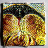 Filze molecular scheme