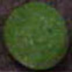 Green & Green molecular scheme