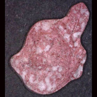 Indianer molecular scheme