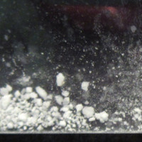 JSL - JetSetLife molecular scheme