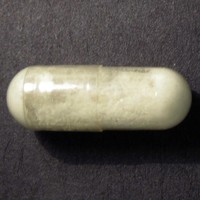 Holland Molly molecular scheme