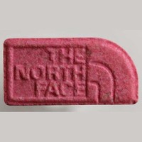 The North Face molecular scheme