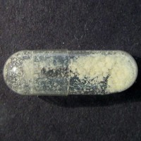 Molly molecular scheme