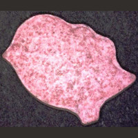 Vogel molecular scheme