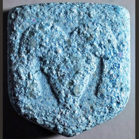 Widder molecular scheme