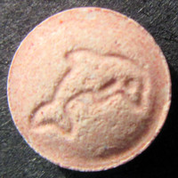 Dolphin molecular scheme