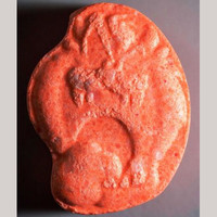 Tasmanischer Teufel molecular scheme