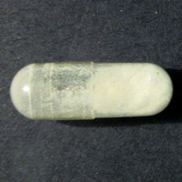 Molly molecular scheme