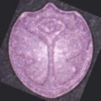 Tomorrowland molecular scheme