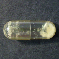 MDMA molecular scheme