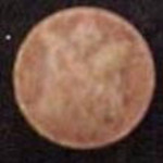 Tulip molecular scheme