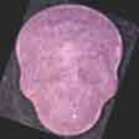 Red Army Skull molecular scheme