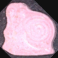 Schnecke Gary molecular scheme