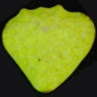 Erdbeere molecular scheme