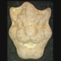 Bowser molecular scheme