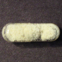 Sassafras molecular scheme