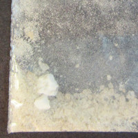 Molly molecular scheme