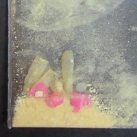 Molly molecular scheme