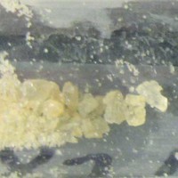 Molly molecular scheme
